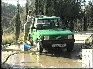 Electric Blue -  Tammy