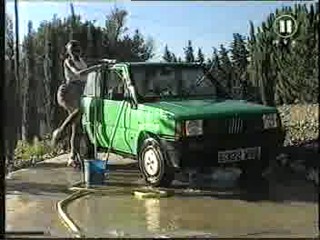 Electric Blue -  Tammy