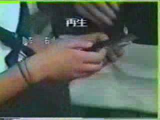 Japanese TV