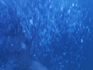 Perfect Victims (U.S. title Perfect Life)