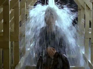 Les hommes prÃ©fÃ¨rent les grosses