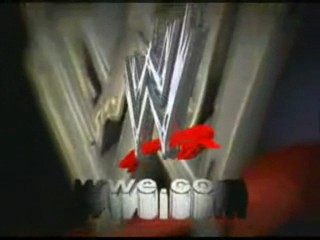 wwe diva search 2006
