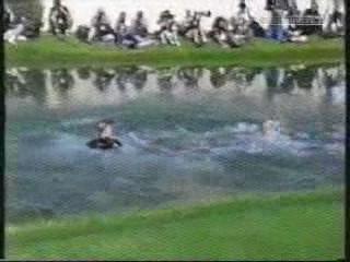 Yes Dear; Golfer Annika Sorenstam