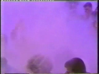 Don't Forget Your Toothbrush,  Danke Anke,  Fear Factor; PAX Promos