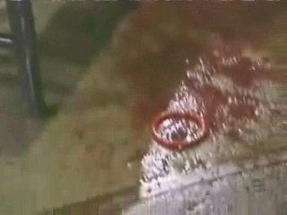 Don't Forget Your Toothbrush,  Danke Anke,  Fear Factor; PAX Promos