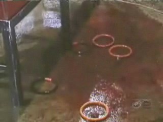 Don't Forget Your Toothbrush,  Danke Anke,  Fear Factor; PAX Promos