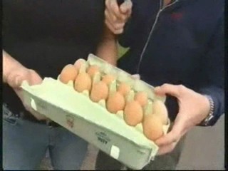 The Villa & Wudja? Cudja?