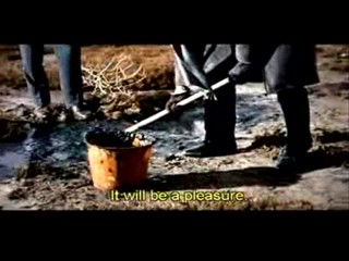 Belle du Jour / Tattooed Millionaire