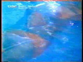 German late night tv