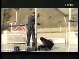 German TV Dramas (2),  Peep