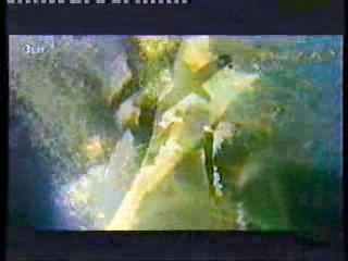 Italian TV series,  German Entertainment Show