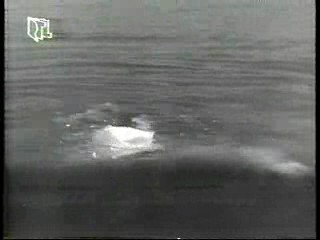 Vintage German Movie,  Benjamin