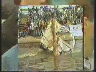 German festival,  Vintage German film,  Rosalind Russell movie.