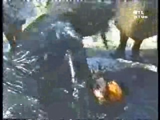 German Movies (2), German TV drama