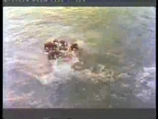 German TV (3),  Dallas