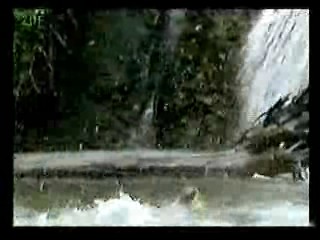 Promos,  German variety show