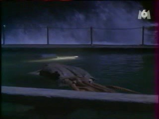 Wet jeans, The Beast