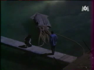 Wet jeans, The Beast