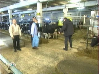 Fear Factor - Russia