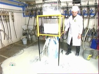 Fear Factor - Russia