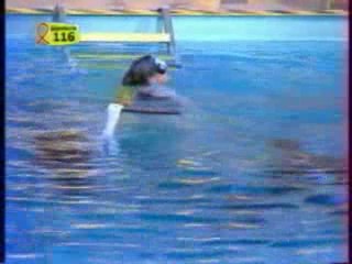 Le Big Dil Underwater