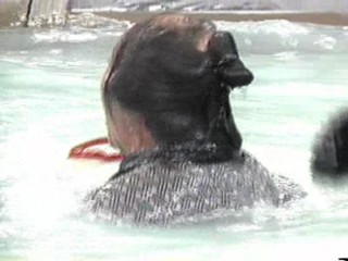 Japanese comedy show - Shimura Daijyoubuda