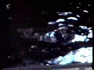 Shadow of a Stranger