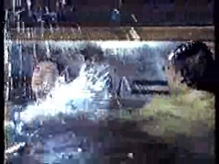 Shadow of a Stranger