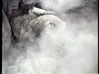 Tarzan (1966 tv series)