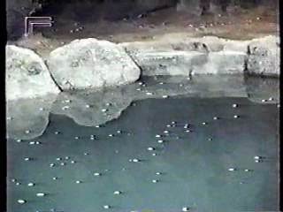 Tarzan (1966 tv series)