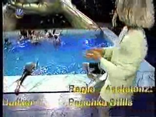 Mann O Mann Shows (2)