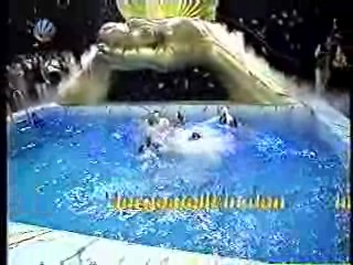 Mann O Mann Shows (2)