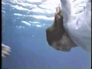 Music Video,  The Finest Hour