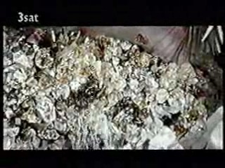 Journey to the Center of the Earth