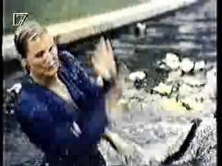 Dynasty (German vers.)