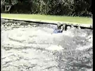 Dynasty (German vers.)