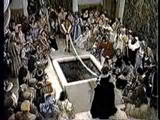 MTV Germany,  Dynasty