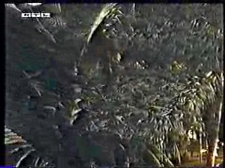 Volunteers,  wet commercial