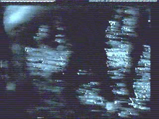 German Circus Show,  Django