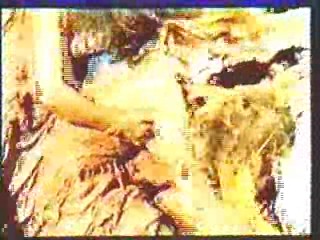 German Circus Show,  Django