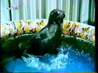 The Love Boat,  German comedy show,  TV movie