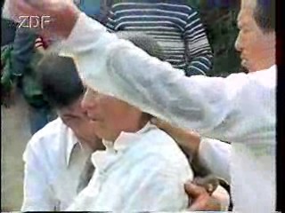 German TV documentaries (2)