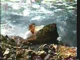 Two Weeks in September,  German documentary,  Joseph Andrews