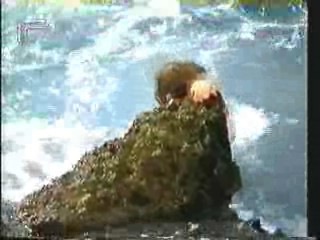 Two Weeks in September,  German documentary,  Joseph Andrews