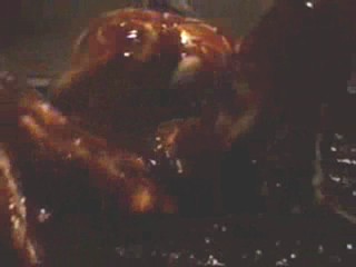 Asian topless mud wrestling