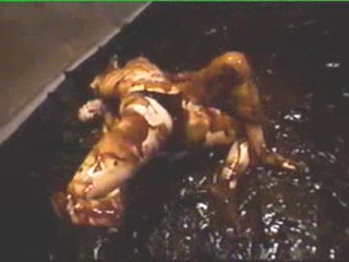 Asian topless mud wrestling