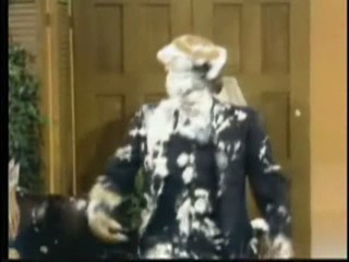 Captain and Tenille Show