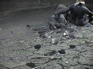 Rubber wetsuits in mud