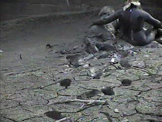 Rubber wetsuits in mud