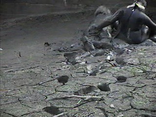 Rubber wetsuits in mud